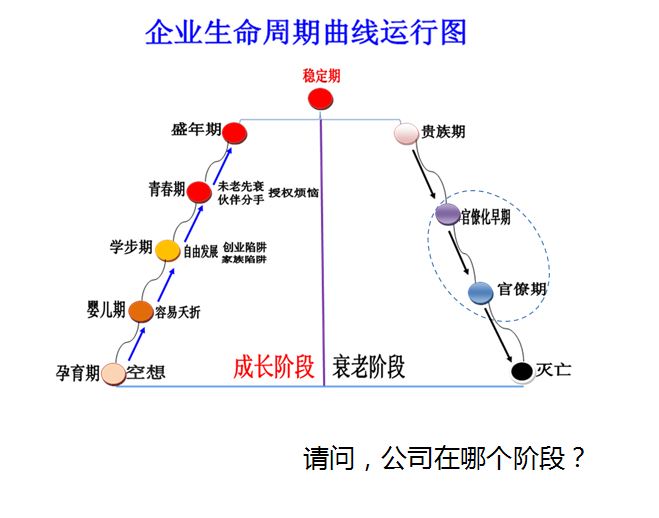 企业生命周期